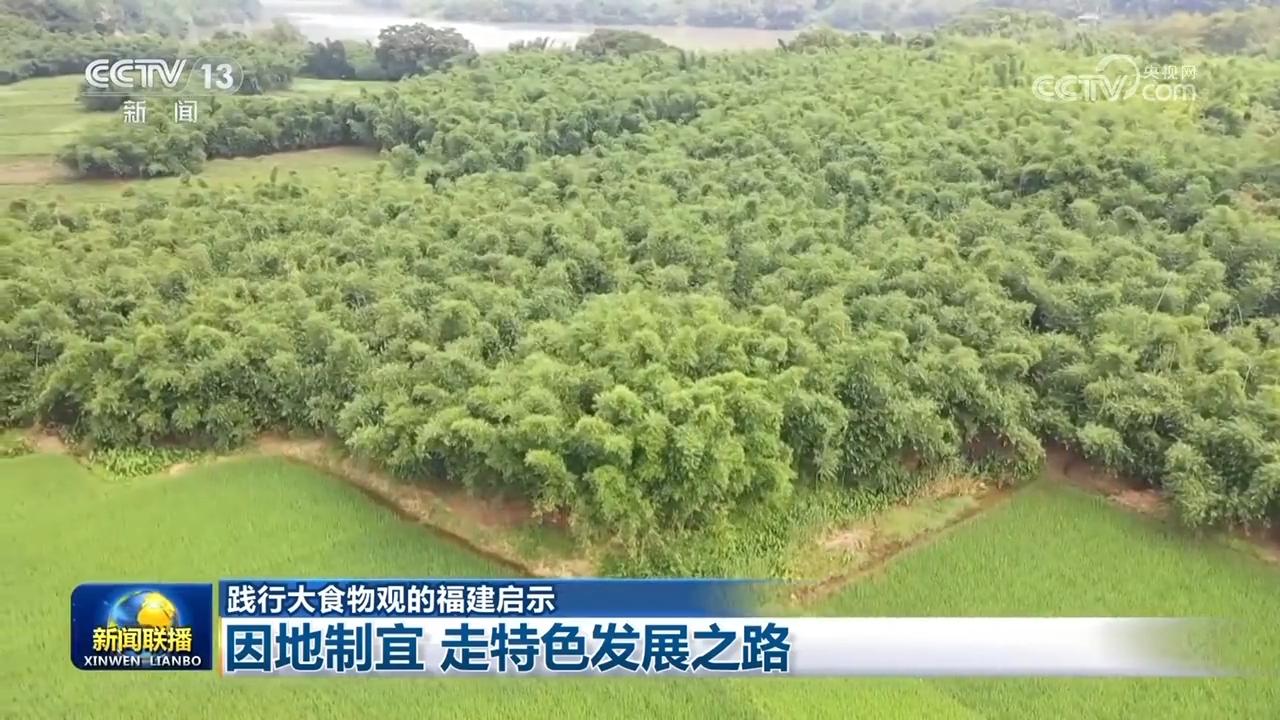 【践行大食物观的福建启示】因地制宜 走特色发展之路
