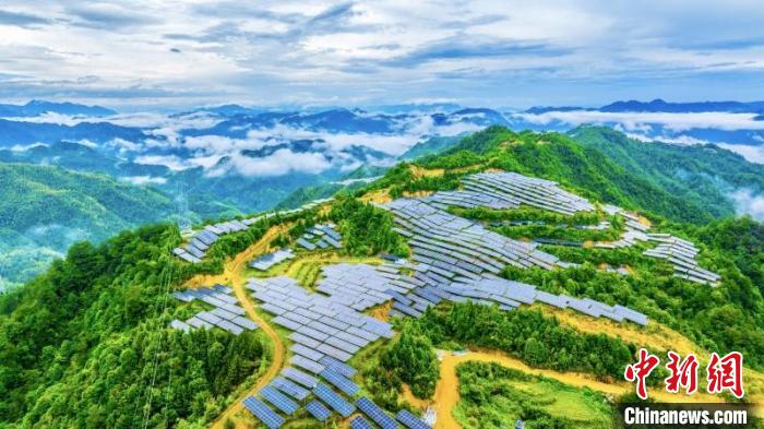 浙江新能源装机超5000万千瓦 今夏发电量增长超四成