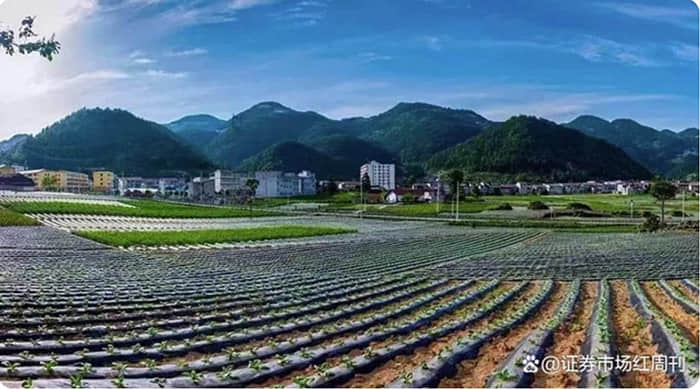 两家银行同时推进IPO，竞夺“广西上市银行第一家”