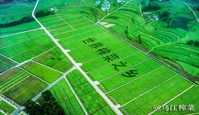 赛腾股份新获得发明专利授权：“一种具有微调功能和力控功能的热压装置”